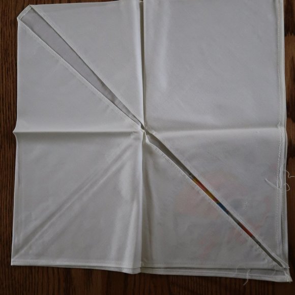 Lot of 1972 Area 12-E (XII-E) Boy Scout Conference Items (Scarf and Patches) - Picture 12 of 12